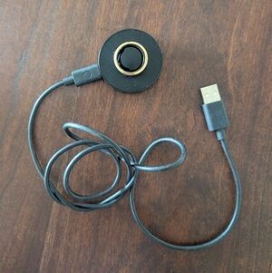 Gold Oura Ring - Horizon Size 8